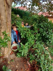 Klasse5e-Erntedank_Aktion-2