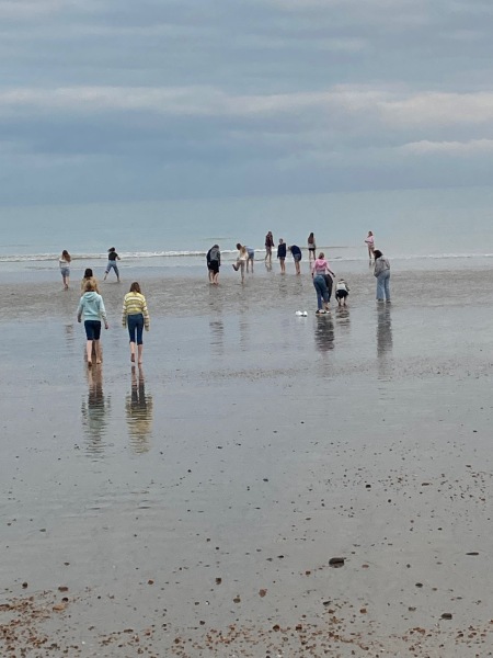 Am Strand von Hastings