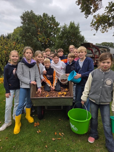 Erntedank-Aktionen der Klasse 5e