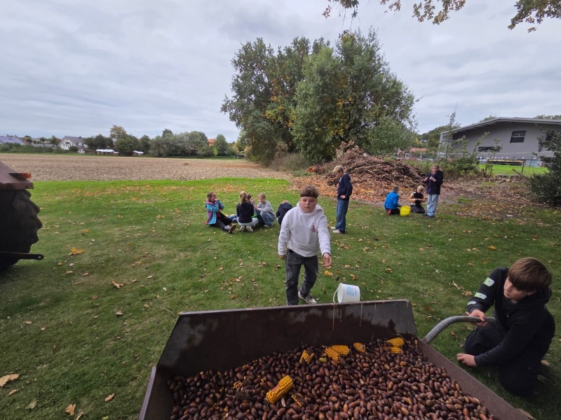 Erntedank-Aktionen der Klasse 5e