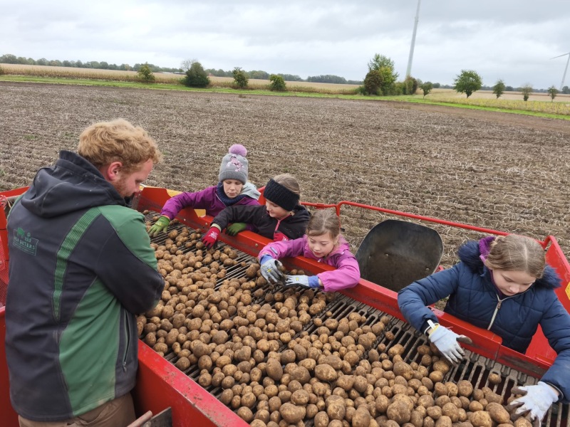 Erntedank-Aktionen der Klasse 5e