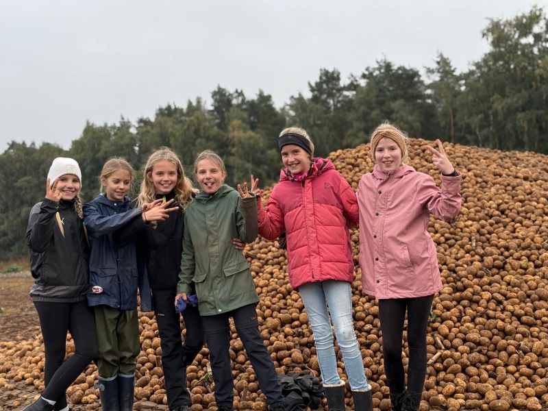 Erntedank-Aktionen der Klasse 5e