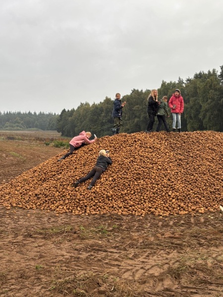 Erntedank-Aktionen der Klasse 5e