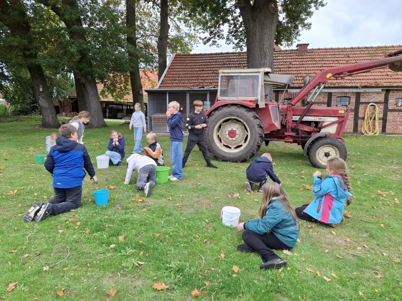 Erntedank-Aktionen der Klasse 5e