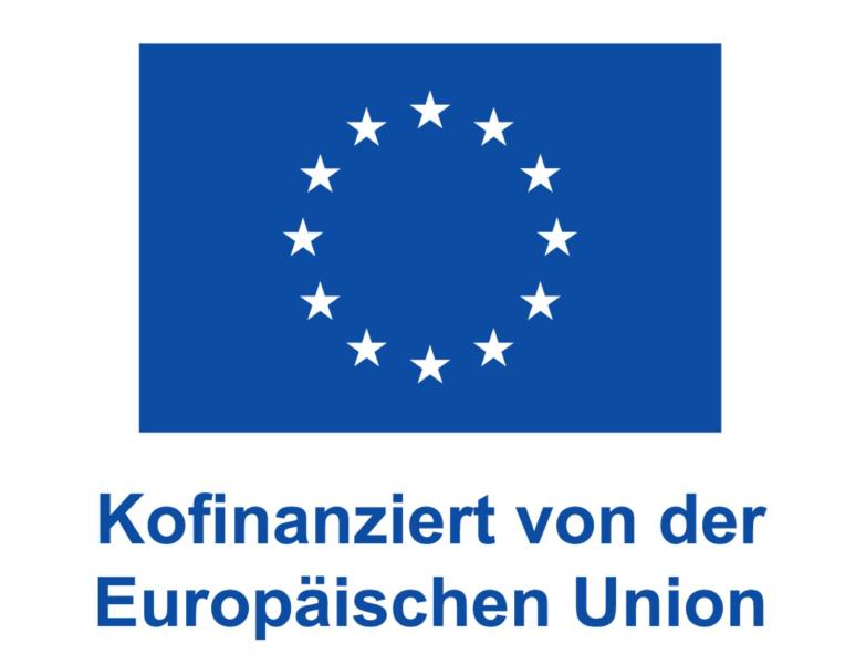 Der Austausch wurde kofinanziert von der Europäischen Union.