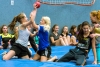 SprtPrjWch2015_17