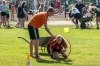 Sportfest2014-24