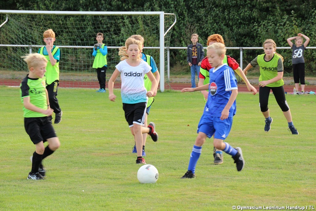 Sportfest_2016-28