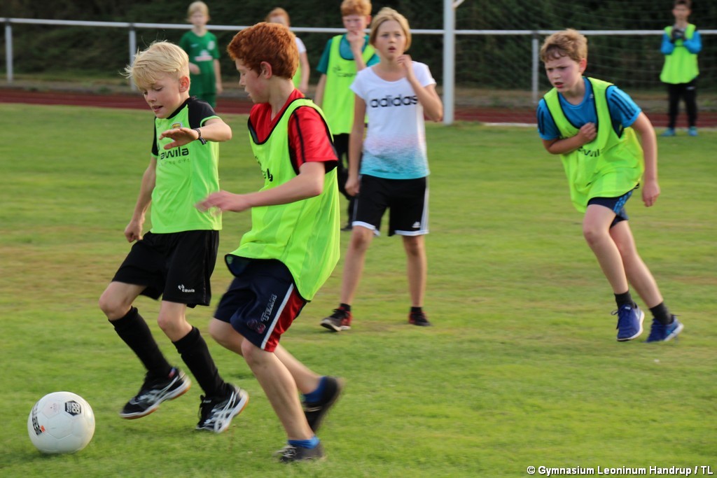 Sportfest_2016-29
