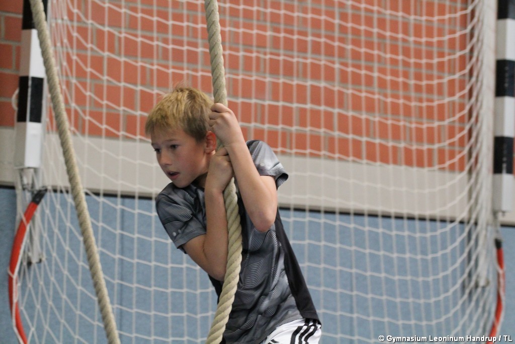 Sportfest_2016-37