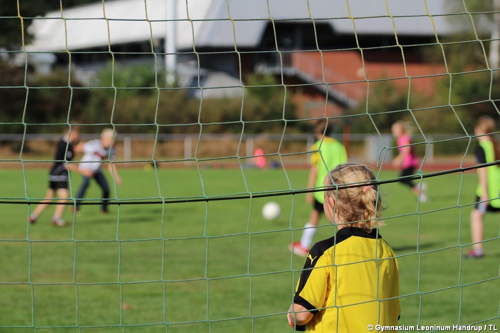 Sportfest_2016-54