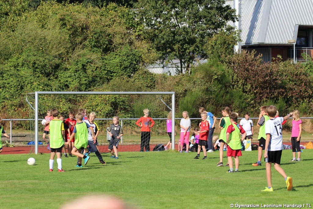 Sportfest_2016-58