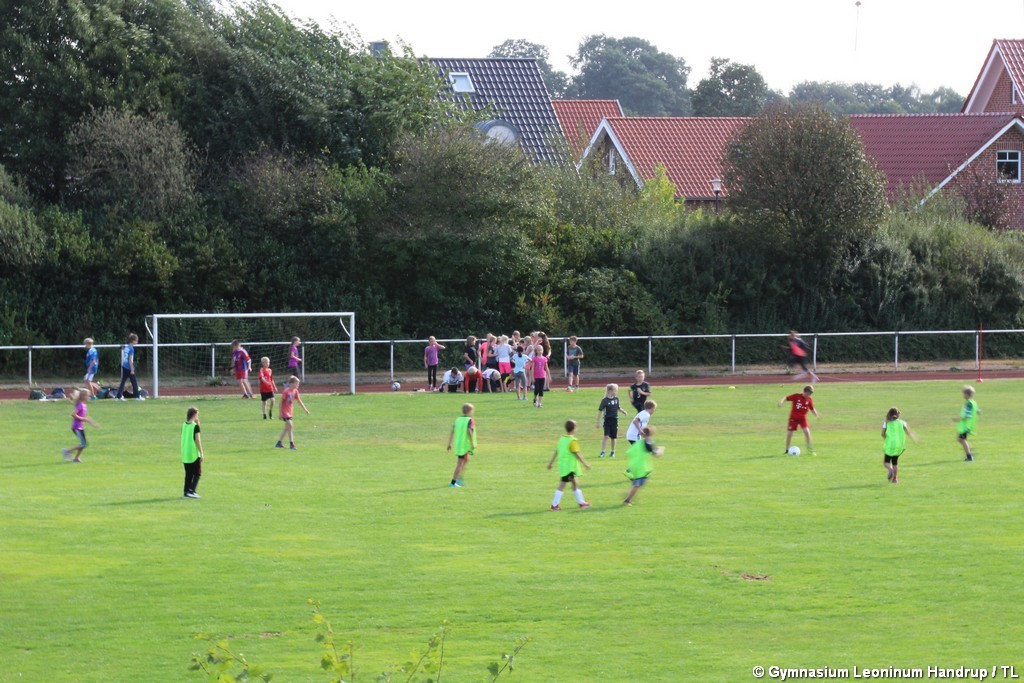 Sportfest_2016-59