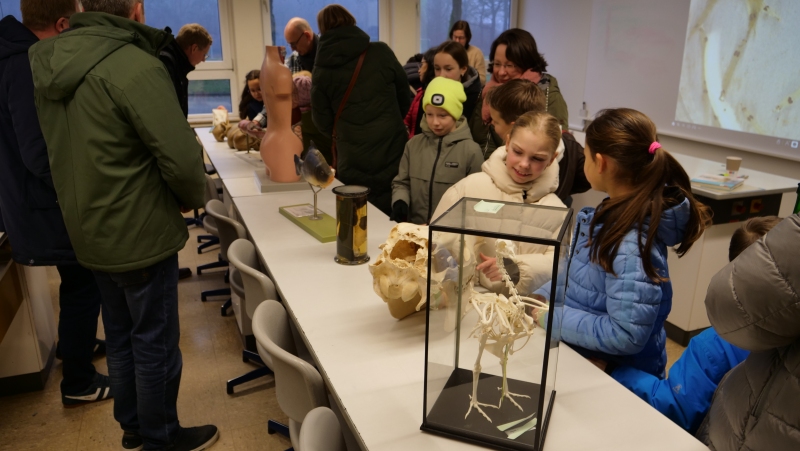 Körper(teile) verschiedener Lebewesen konnten bei den Biologen begutachtet werden.