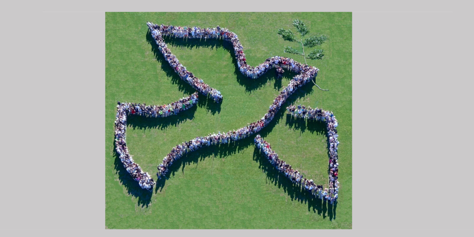 Das Leoninum – die Schule mit Herz